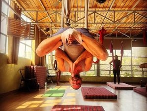 6 Day 50-Hour Aerial Yoga Teacher Training in Rishikesh, India (With Sound Healing Sessions)