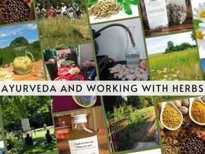 7 Day Yoga, Ayurveda, and Working with Herbs Retreat in the Champagne-Ardenne, France