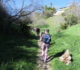 8 jours en stage de yoga : se ressourcer, se détendre, nager, marcher, randonner et faire du SUP à Corfou ensoleillée, Grèce - Photo 5