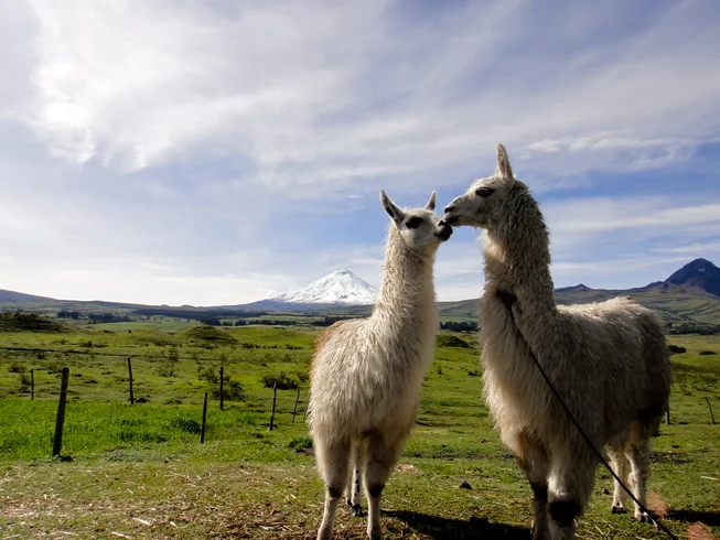 2 Day Cotopaxi Off Road Guided Motorcycle Tour photo 6