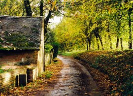 Hampshire Retreats & Trips