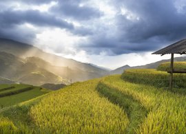 North Vietnam Retreats & Trips