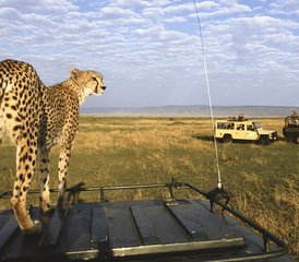 25-Daagse Ontdekking van de Verborgen Parels van Kenia - Photo 1