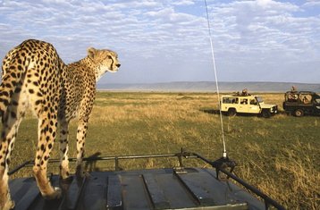 5 Tage Entdeckung der VerborgenEn Juwelen Kenias
