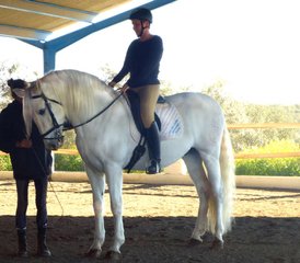 5 Day Extraordinary Horse Riding Holiday in Mollina, Malaga, Spain - Photo 2