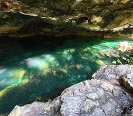 5 Day Bufo Plant Medicine Retreat in Akumal, Mexico - Photo 5