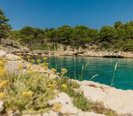 7 Tage Earth Yourself Yoga und Glamping Retreat mit Kakaozeremonien auf Hvar, Kroatien - Photo 5