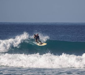 118-Daagse Surfkamp Voor Beginners En Gevorderden in Playa Hermosa, Santa Teresa, Costa Rica - Photo 1