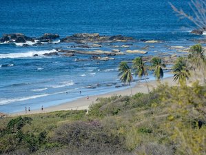 8 jours en stage de surf tous niveaux avec yoga, fitness et plus à Nosara, Costa Rica