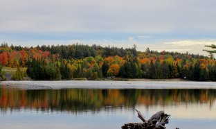 Algonquin Provincial Park Retreats & Trips