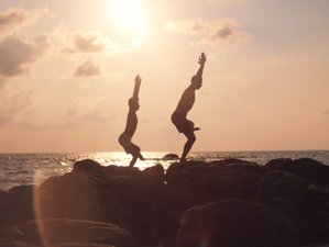 4 Day Companion Yoga Luxury Wellness Retreat in Khok Kloi, Thailand