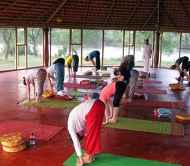 Curso de formación de profesores de Hatha yoga de 500 horas durante 50 días en Rishikesh, India - Photo 4