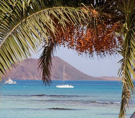 6 jours en stage de kitesurf débutant à Fuerteventura, îles Canaries, Espagne - Photo 3