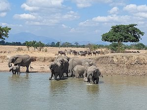 2 Day Mikumi Safari Retreat in Mikumi National Park, Tanzania