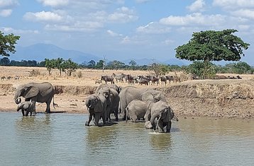 2-Daagse Mikumi Safari De Retreat in Mikumi National Park, Tanzania