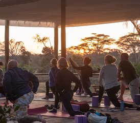 7 días de retiro de safari y yoga de conservación en Ol Pejeta Conservancy, Nanyuki, Kenia - Photo 3