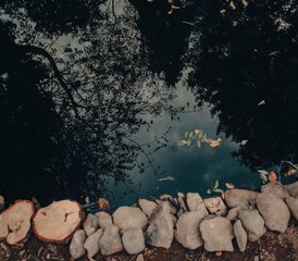 5 Tage Mittelwochen Reconnect, Rewild & Realign; Yoga und Wandern, Natur Retreat im Lake District, Vereinigtes Königreich - Photo 3