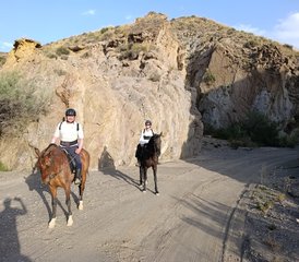 6-Daagse Pack “Een Landschap bij Elke Galop” Paardrijvakantie in Almería, Spanje - Photo 3