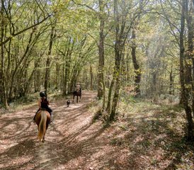 5 Day On the Road to D'Artagnan Horse Riding Tour in France - Photo 5