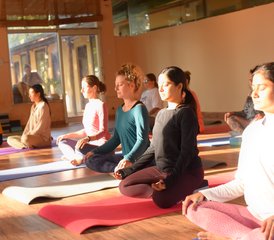 25-Daagse 200-uur Multi-Style Yoga Docentenopleiding (Hatha-Ashtanga) met Ayurveda Therapie in India - Photo 5