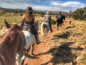 8 Day Rescue Horse Ranch Vacation in New Mexico, USA: Ride with Purpose