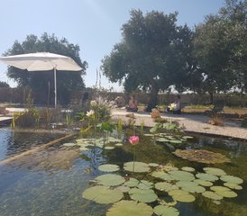 5 jours en retraite de yoga, visite culturelle et ayurvéda dans les Pouilles, Italie - Photo 5
