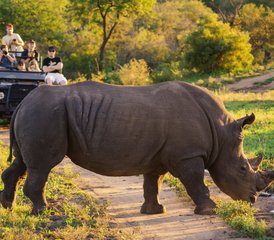 34 días de safari de lujo en el parque Kruger y la ruta Panorama en Sudáfrica - Photo 1
