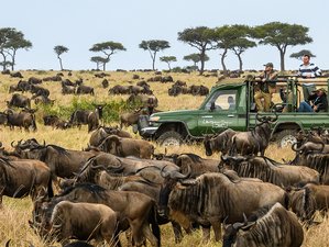 4 Day Best of Tanzania Safari on 4x4 Land Cruiser Jeep