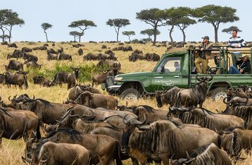 4-Daagse Beste Van Tanzania Safari Met 4x4 Land Cruiser Jeep