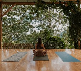11 jours-300h en formation de professeur de yoga hybride : en ligne et en présentiel à Tzununa, Guatemala - Photo 5
