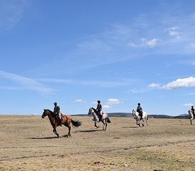 17 Day Four Valleys Horse Riding Tour in Spain - Photo 1