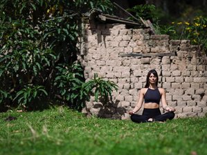 28 Day 200hr Multi-Style YTT of Connection Nature & Inner Mastery in Andes Ecuador
