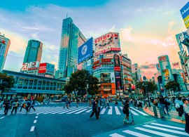 Tokyo Retreats & Trips