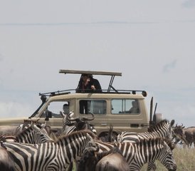 4 Tage Safari zu Tarangire, Lake Manyara, Ngorongoro und den Materuni-Wasserfällen in Tansania - Photo 4