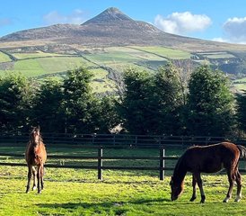 7 Day Luxury Horse Riding Holiday: Single Traveller Special in Wicklow, Ireland - Photo 5