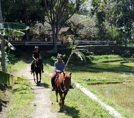 54-Daagse Empowerende Natural Horsemanship en Yoga Retreat in Midden-Java, Salatiga, Indonesië - Photo 1