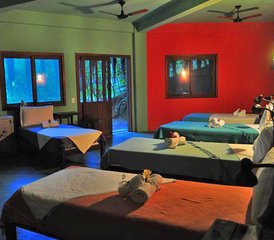11 jours en stage de yoga, méditation et ayahuasca à Itacaré, Bahia, Brésil - Photo 5