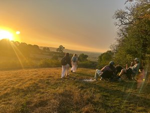 4-Daagse yogaretreat in Glastonbury, VK
