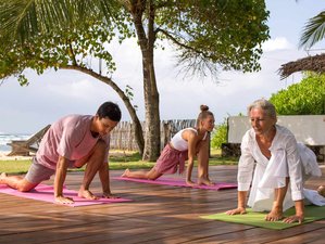 11 Day Best 100-Hour Luxurious Yoga Teacher Training In Mirissa, Sri Lanka