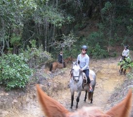 6 Day Private Tailor-Made Horseback Riding Holiday in Ricaurte Province, Boyacá, Colombia - Photo 5