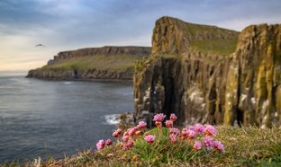 Îles Britanniques Retraites et Voyages