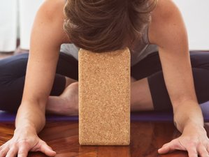Online 75-Stunden Yin-Yoga- und Atemarbeit-Lehrerausbildung: Verwandle Deine Praxis und Lehre