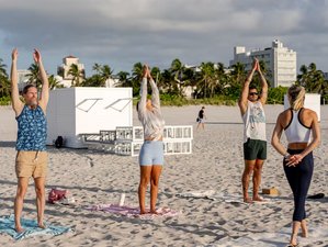 5 Day 20-Hour FitFlowYoga Advanced Level Asanas Yoga Teacher Training in Miami, USA