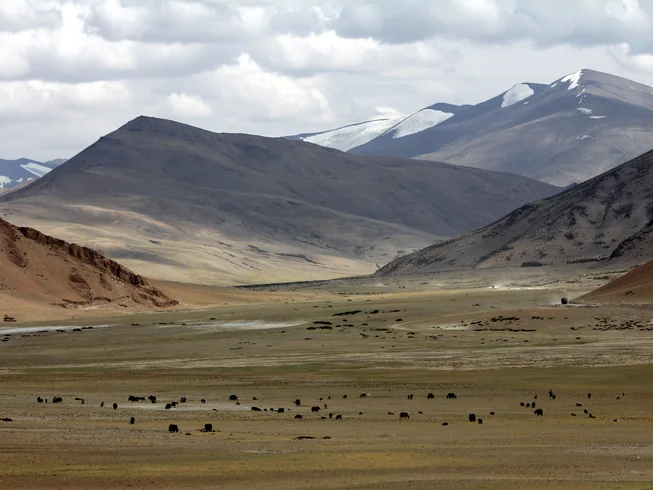 10 Day "The Great Lakes of Ladakh" Guided Loop Motorcycle Tour in India  photo 7