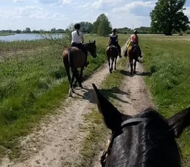4 Day Center-based Horse Riding Holiday in the Wild Bug River Valley, Poland - Photo 4