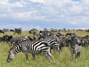 4 Day Great Maasai Mara Budget Safari in Kenya 