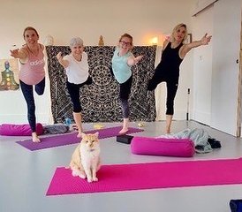 4-Daagse Yoga- en Pilates-Stage Voor De Zomerzonnewende | nabij Bordeaux, Frankrijk - Photo 2