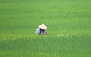Mai Chau Retreats & Trips