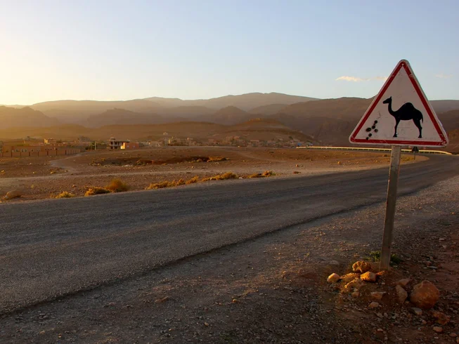 8 Days Guided ‘Surf and Turf’ Motorcycle Tour in Morocco photo 5