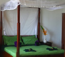 14 Day Cure for Detoxification and Relaxation Retreat in Negombo, Sri Lanka - Photo 5